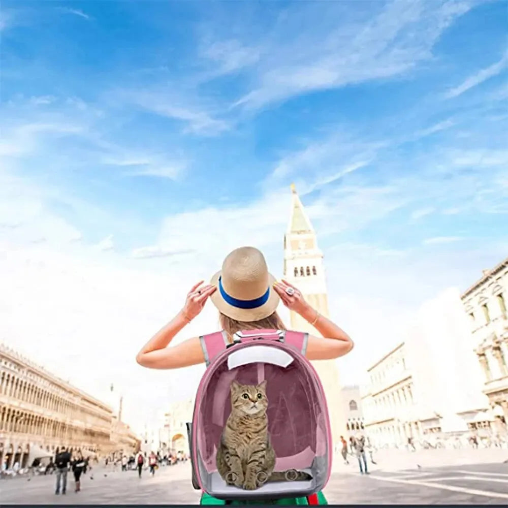 Cat Pet Carrier Backpack Transparent Capsule Bubble Pet Backpack Small Animal Puppy Kitty Bird Breathable Pet Carrier for Travel Cat Pet Carrier Backpack Transparent Capsule Bubble Pet Backpack Small Animal Puppy Kitty Bird Breathable Pet Carrier for Travel